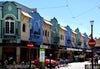 Trish - Christchurch