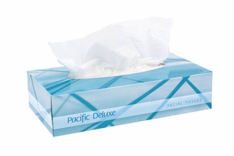 Pacific Hygiene Deluxe 2-Ply Facial Tissue - 100 tissues/pack, 48 packs/case