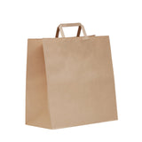 GREEN CHOICE Flat Handle Checkout Bag - 250pcs - 3 Sizes
